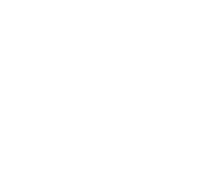 Logo JANSI (blanc)